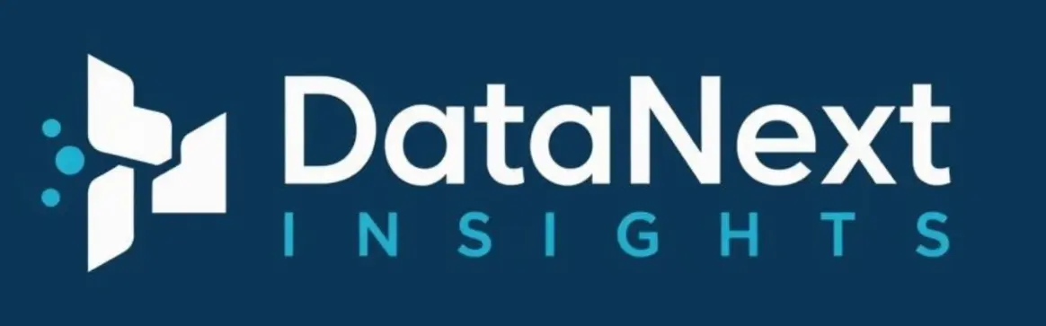 DataNext Insights Logo