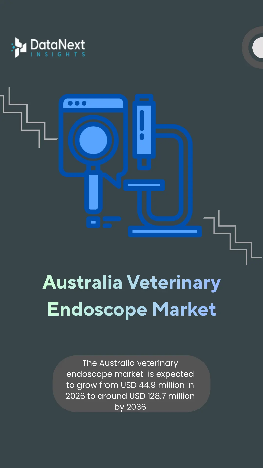 Australia Veterinary Endoscope Market (2026-2036)
