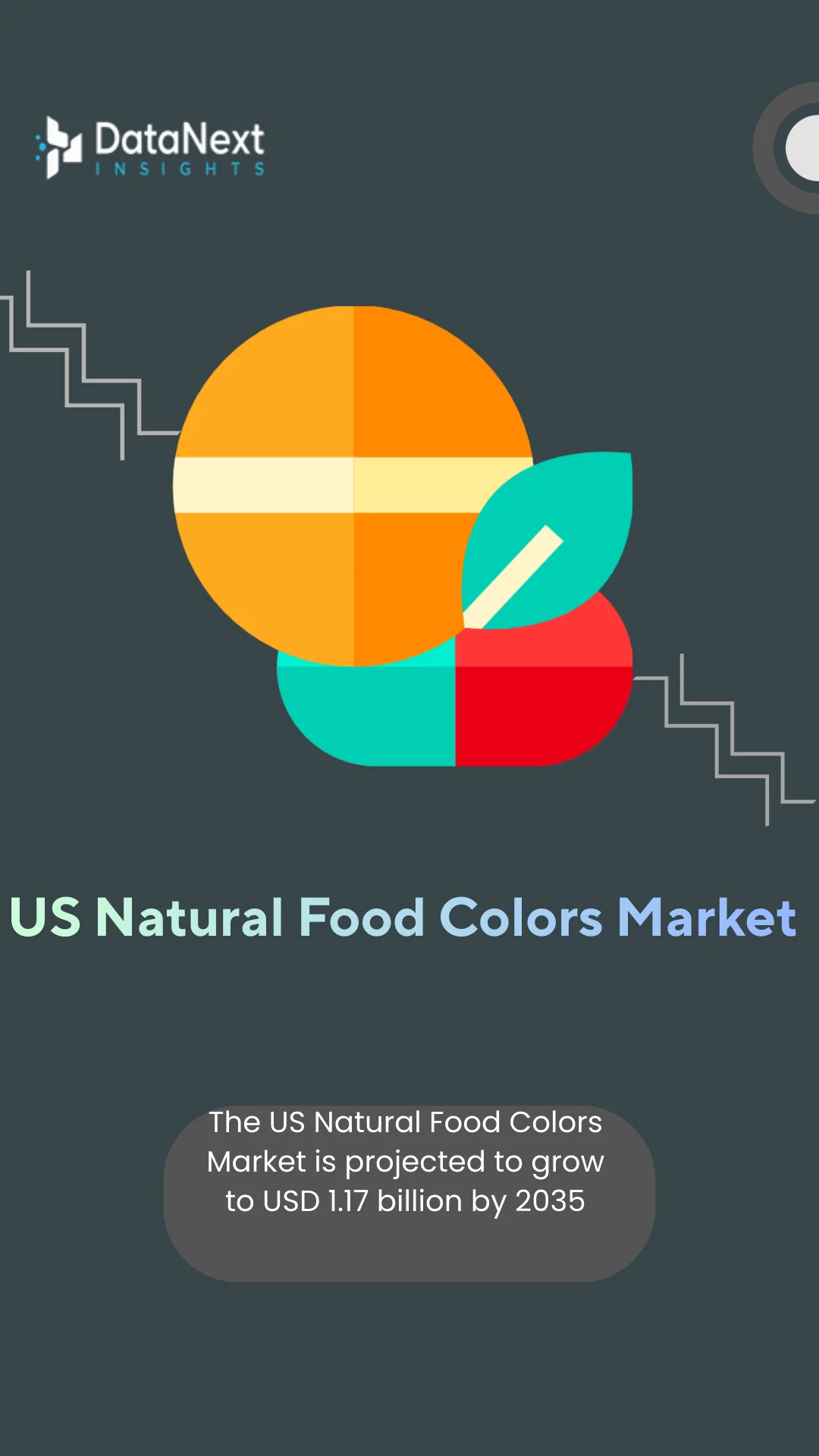 US Natural Food Colors Market (2025-2035)